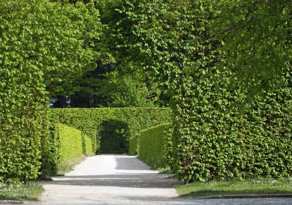 archway-haag
