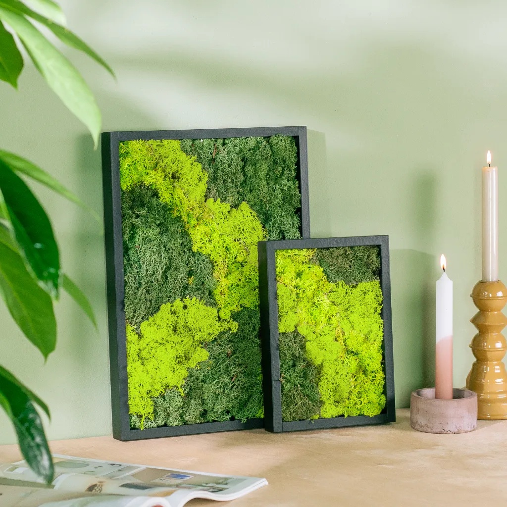 Mosschilderij Duo Rechthoek 1 Mosschilderij Duo Rechthoek