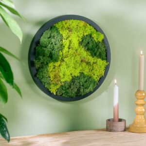 plantje.nl Mosschilderij, Rond, L