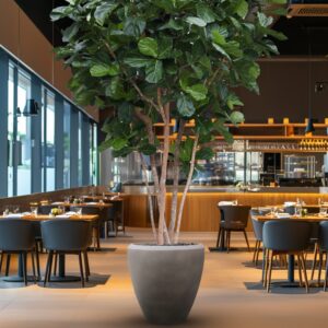 Lyrata Giant Kunstboom Deluxe 420cm