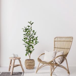 Ficus Exotica Kunstplant NT 100cm