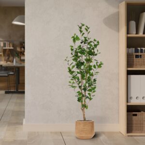 Ficus Triangularis Kunstplant 150cm