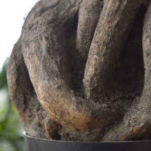 Panda Bonsai kunstboom 55cm