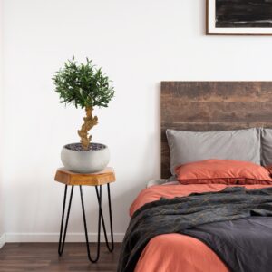 Olijf Bonsai deluxe kunstboom op voet 60cm