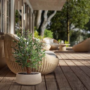 Olijf Bonsai kunstplant Deluxe 90cm UV