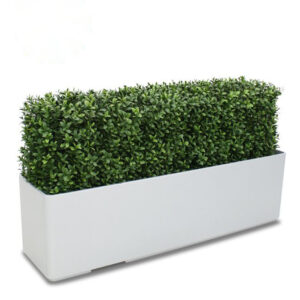 Buxus deluxe kunstheg 80x27cm - UV bestendig