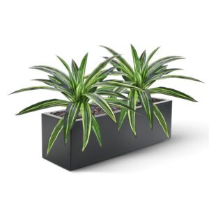 Draceana Massangeana kunstplant 40cm - groen