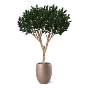 Pinus Umbrella XL Kunstboom Deluxe 260cm