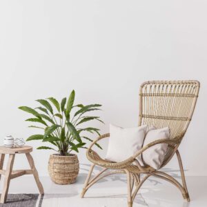 Calathea 75cm Kunstplant groen