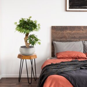 Acer Bonsai kunstboom 60cm - groen