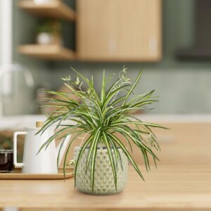 Chlorophytum RT kunst hangplant 45cm