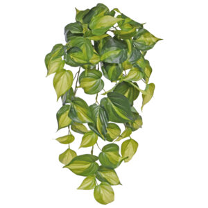 Philodendron Scandens Brasil kunst hangplant 50cm