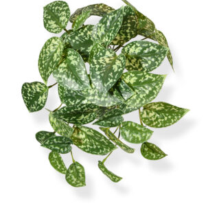 Pictus kunst hangplant 25cm - bont