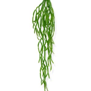 Rhipsalis Paradoxa kunst hangplant 75cm