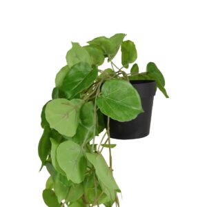 Philodendron kunst hangplant 50cm