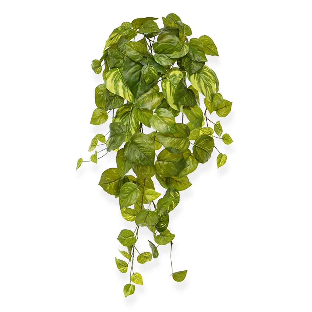Scindapsus Pothos Hangplant 55 cm - Kunstplant 1 Scindapsus Pothos Hangplant 55 cm - Kunstplant