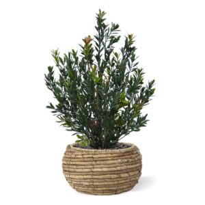 Kunst Buxus Haagplant 50cm Groen/rood