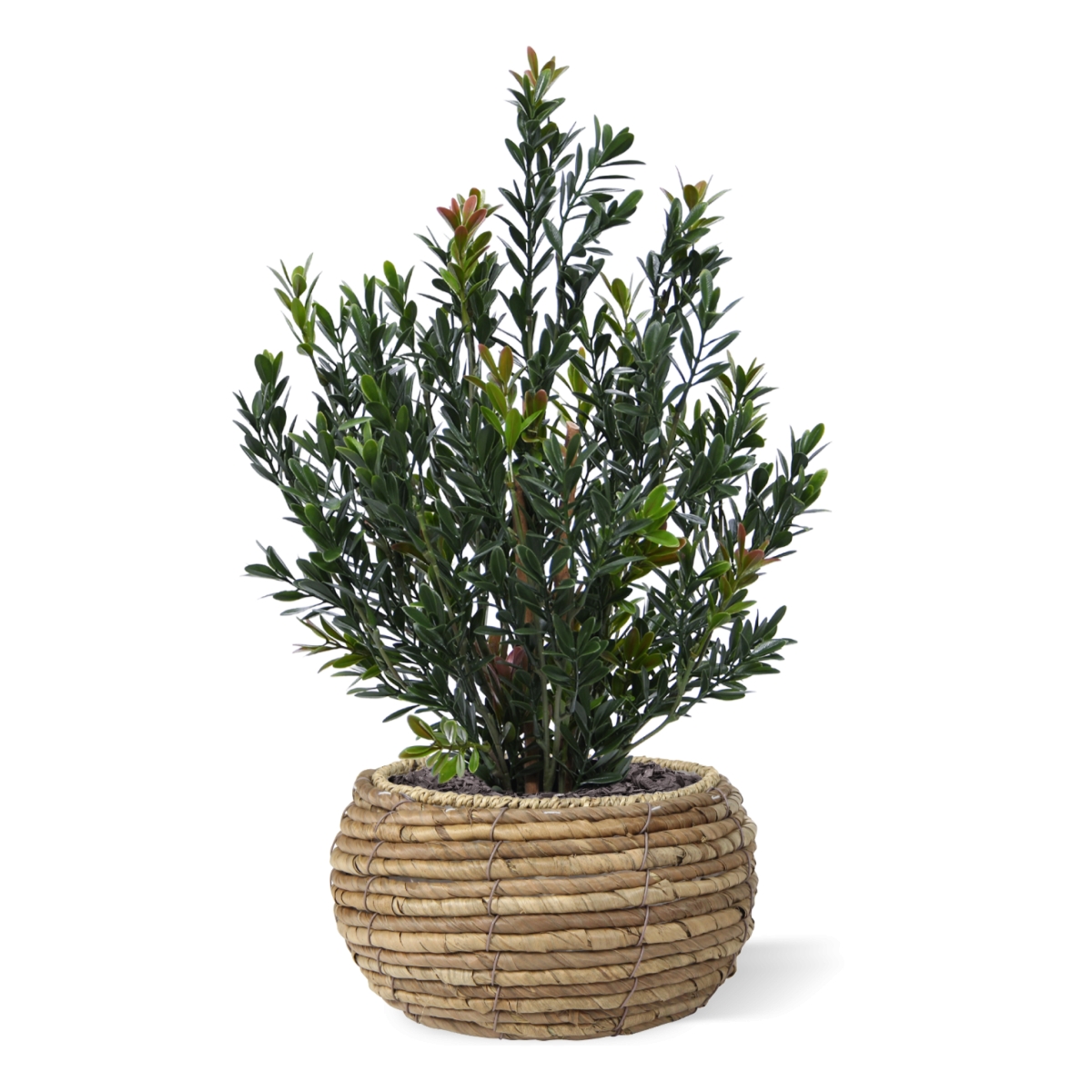 Kunst Buxus Haagplant 50cm Groen/rood 1 Kunst Buxus Haagplant 50cm Groen/rood