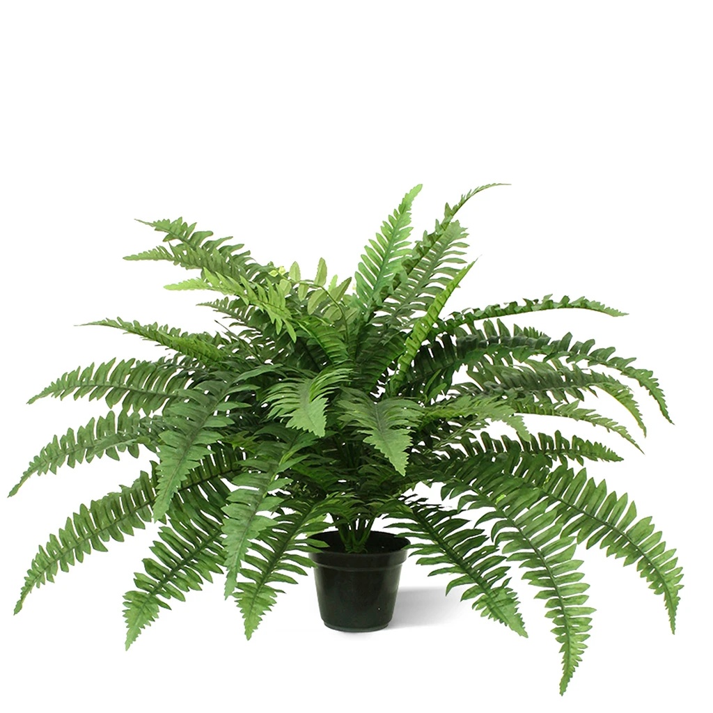 Boston Varen Deluxe 65 cm - Kunstplant 1 Boston Varen Deluxe 65 cm - Kunstplant