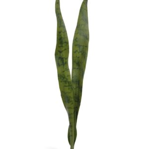 Sanseveria kunstplant 80 cm steker