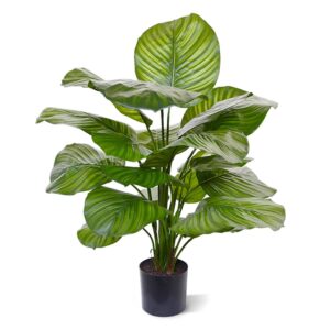 Calathea Fasciata 70 cm - Kunstplant