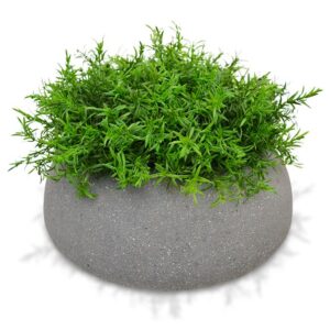 Senecio kunstplant 15cm