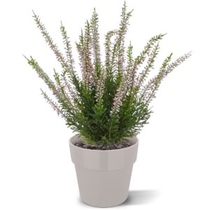 Erica Kunstheide boeket 30 cm roze