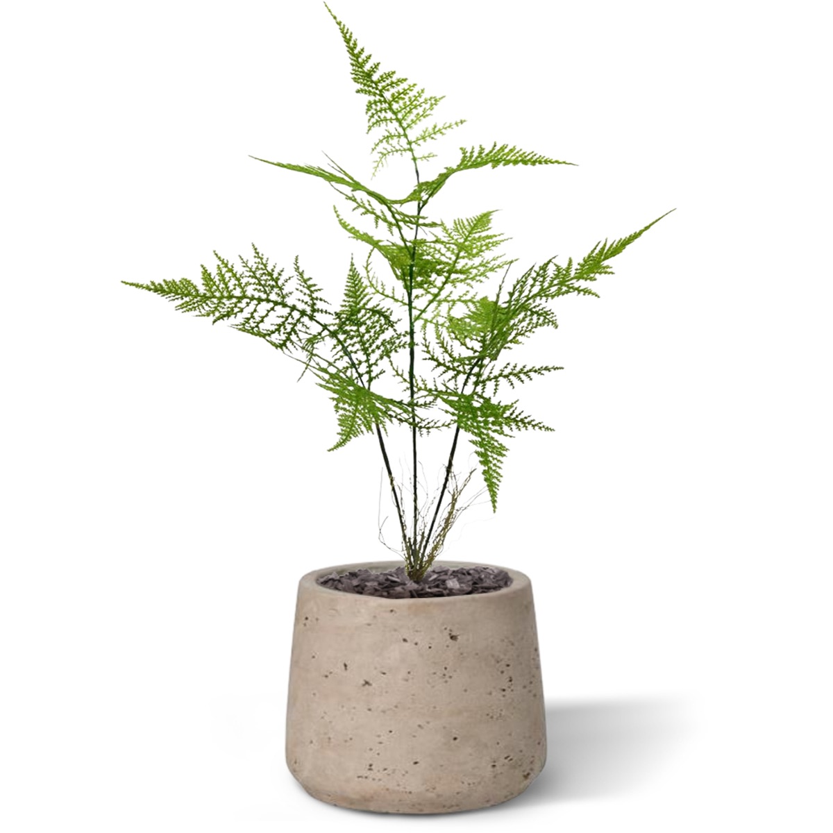 Asparagus kunstboeket 40 cm 1 Asparagus kunstboeket 40 cm