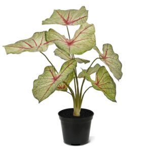 Caladium White Queen 45 cm - Kunstplant