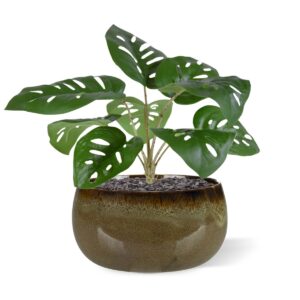 Monstera Adonsonii kunstplant 30cm