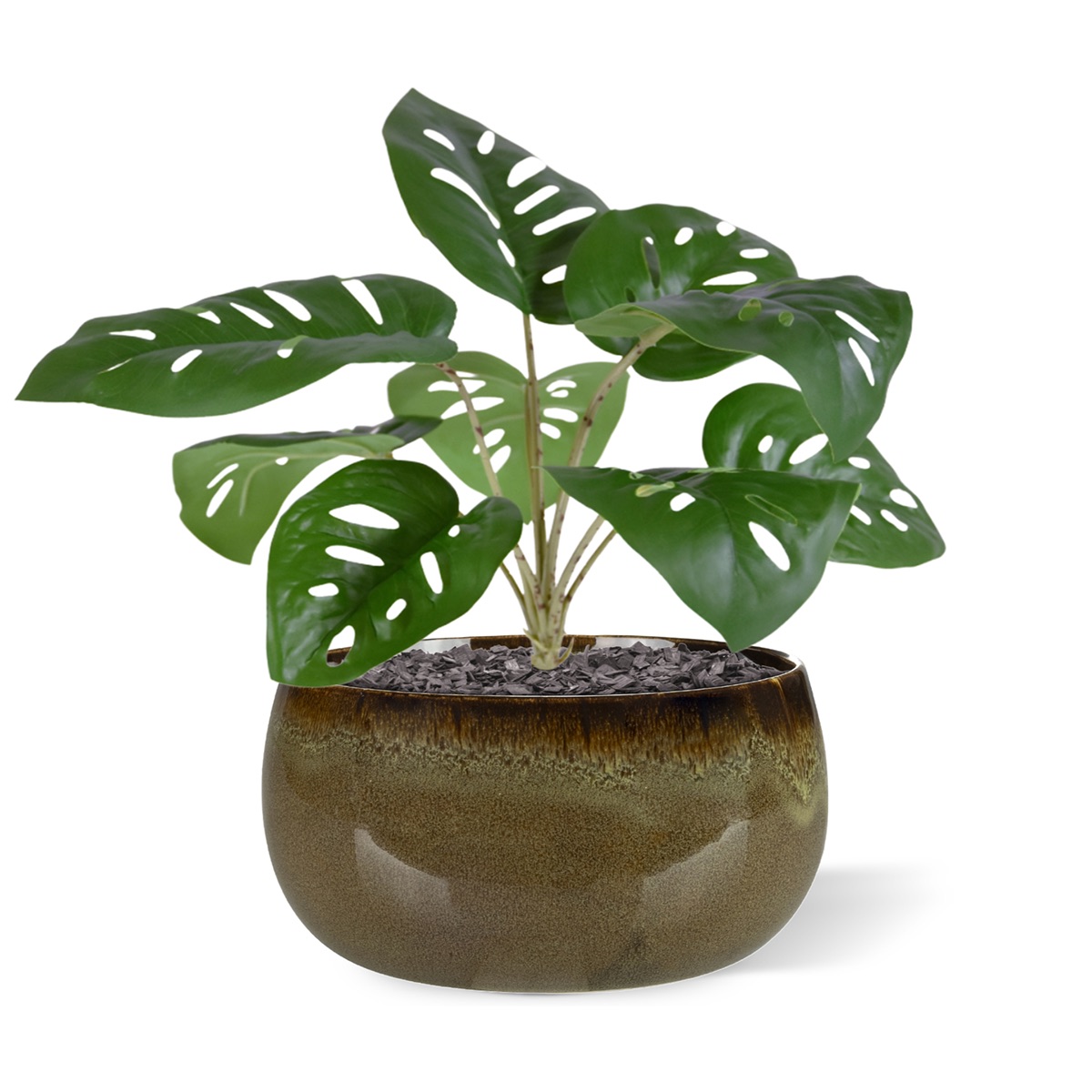 Monstera Adonsonii kunstplant 30cm 1 Monstera Adonsonii kunstplant 30cm