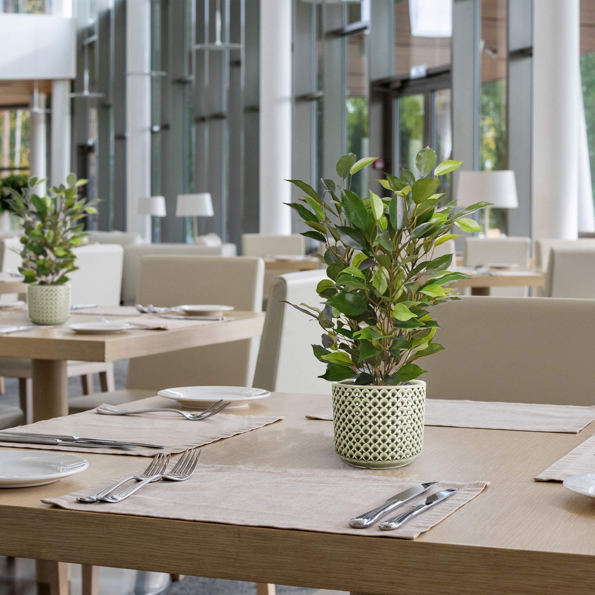 Ficus Natasja Kunstplant 40cm in 10cm pot 1 Ficus Natasja Kunstplant 40cm in 10cm pot