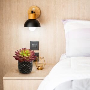 Echeveria Kunstcactus Burgundy 15cm