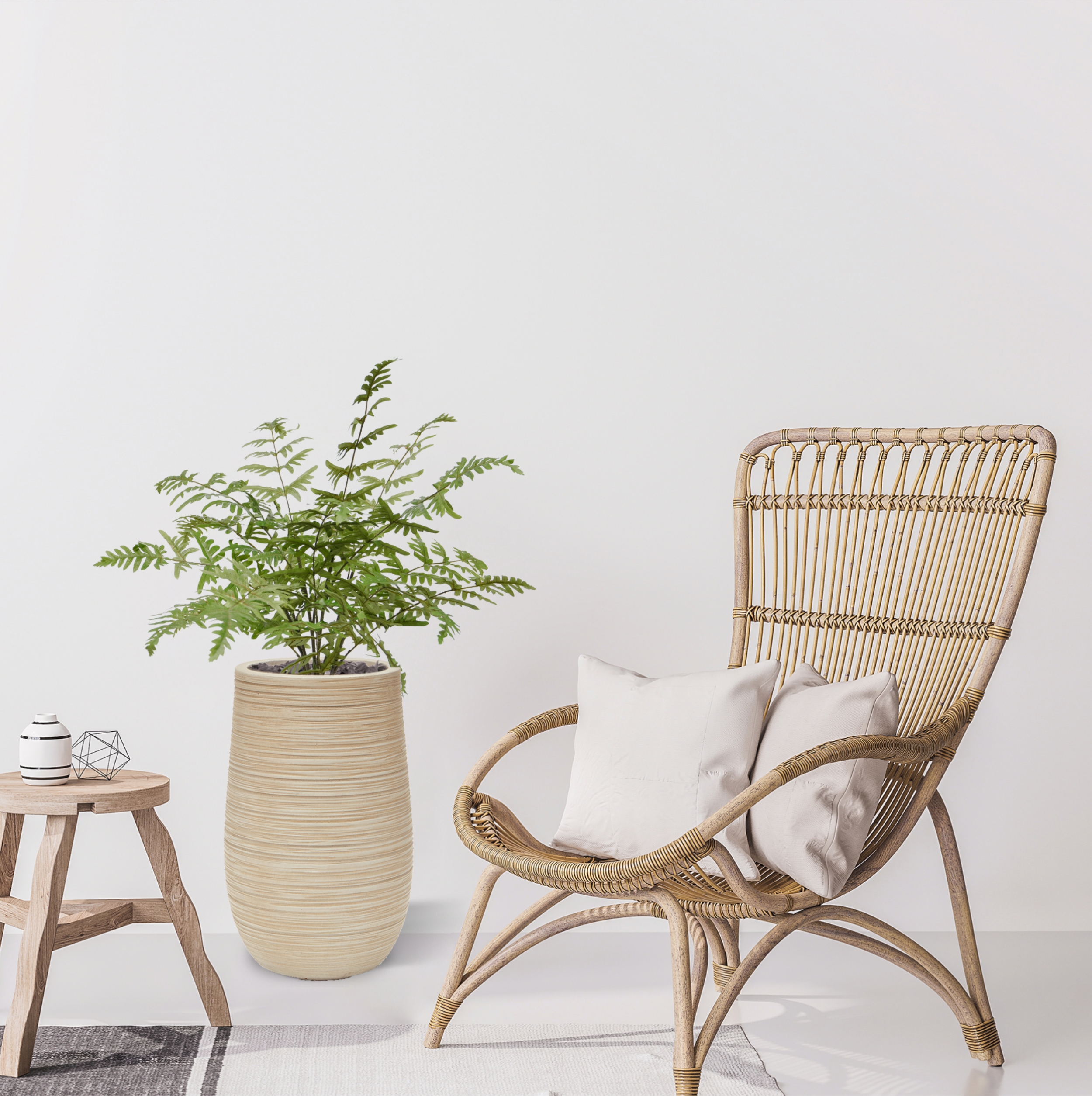 Pteris Ensiformus kunst varen 60cm 1 Pteris Ensiformus kunst varen 60cm