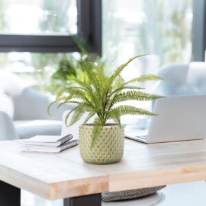 Boston Varen kunstplant 45cm