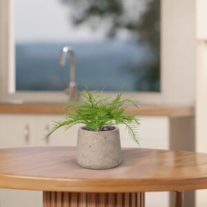 Asparagus Varen Kunstplant 30cm