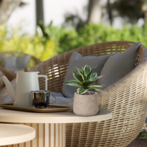 Sanseveria Kunstplant 25cm bont