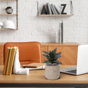 Sanseveria Kunstplant 25cm groen