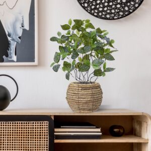 Fittonia Mont Blanc kunstplant 50cm