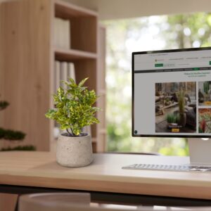 Acuba Japonica 35cm kunstplant bont