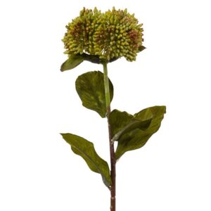 Sedum kunsttak 50 cm groen