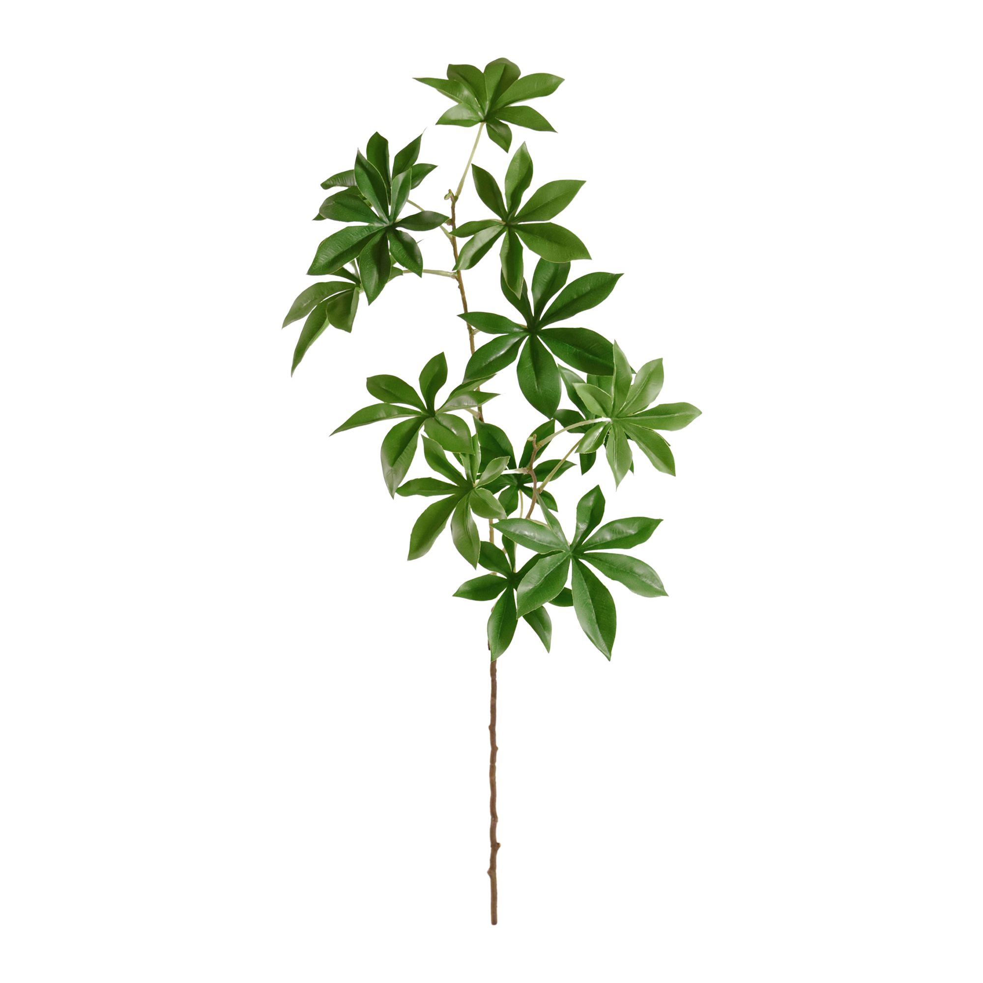 Adansonia kunst tak 80cm 1 Adansonia kunst tak 80cm