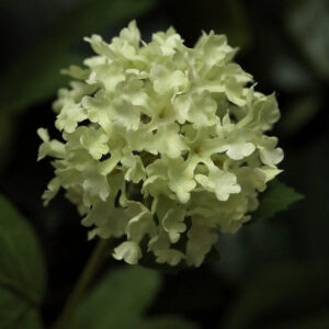 Viburnum kunstbloem 65cm groen