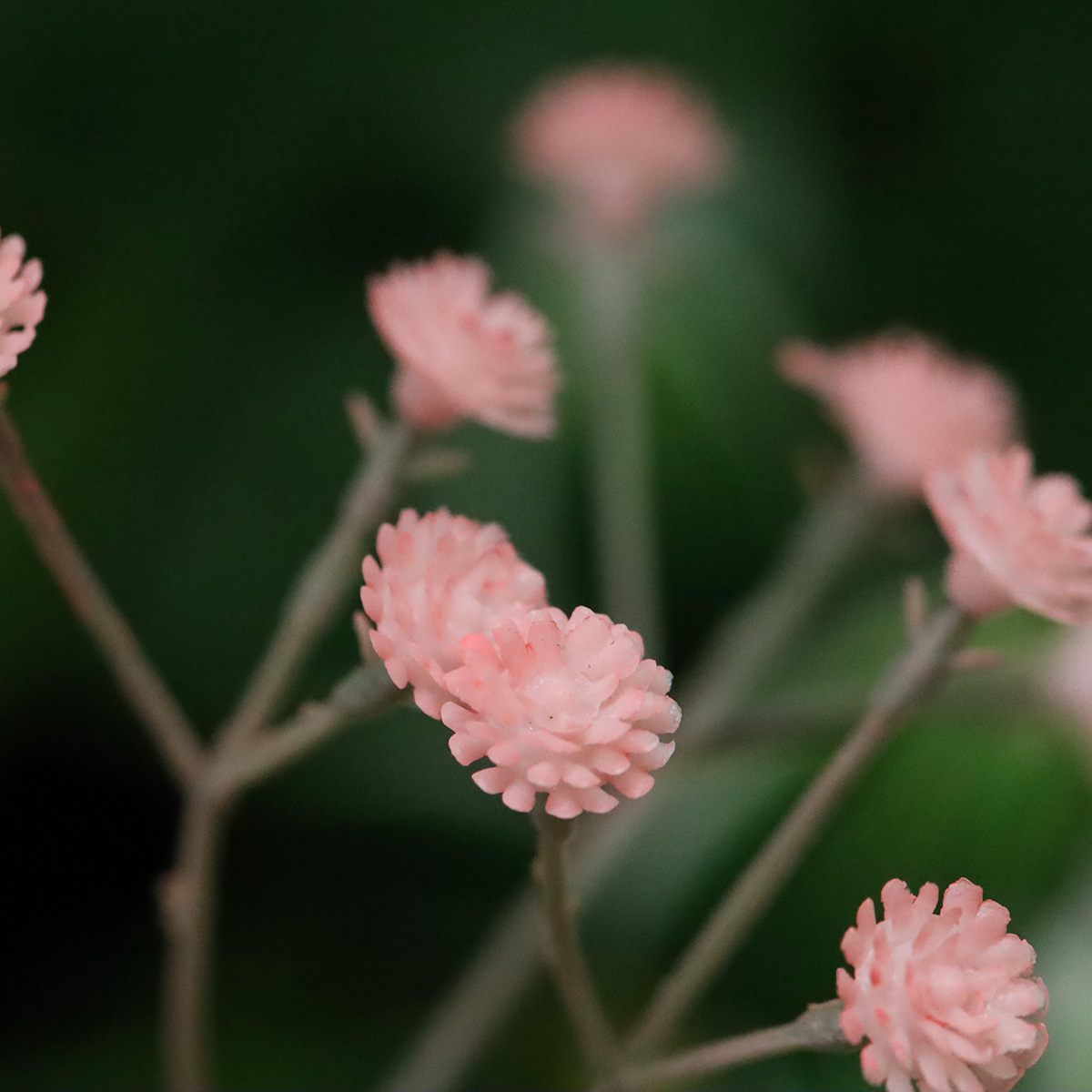 Gipskruid kunsttak 63cm roze 1 Gipskruid kunsttak 63cm roze