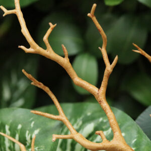 Manzanita Hout kunsttak 65cm bruin