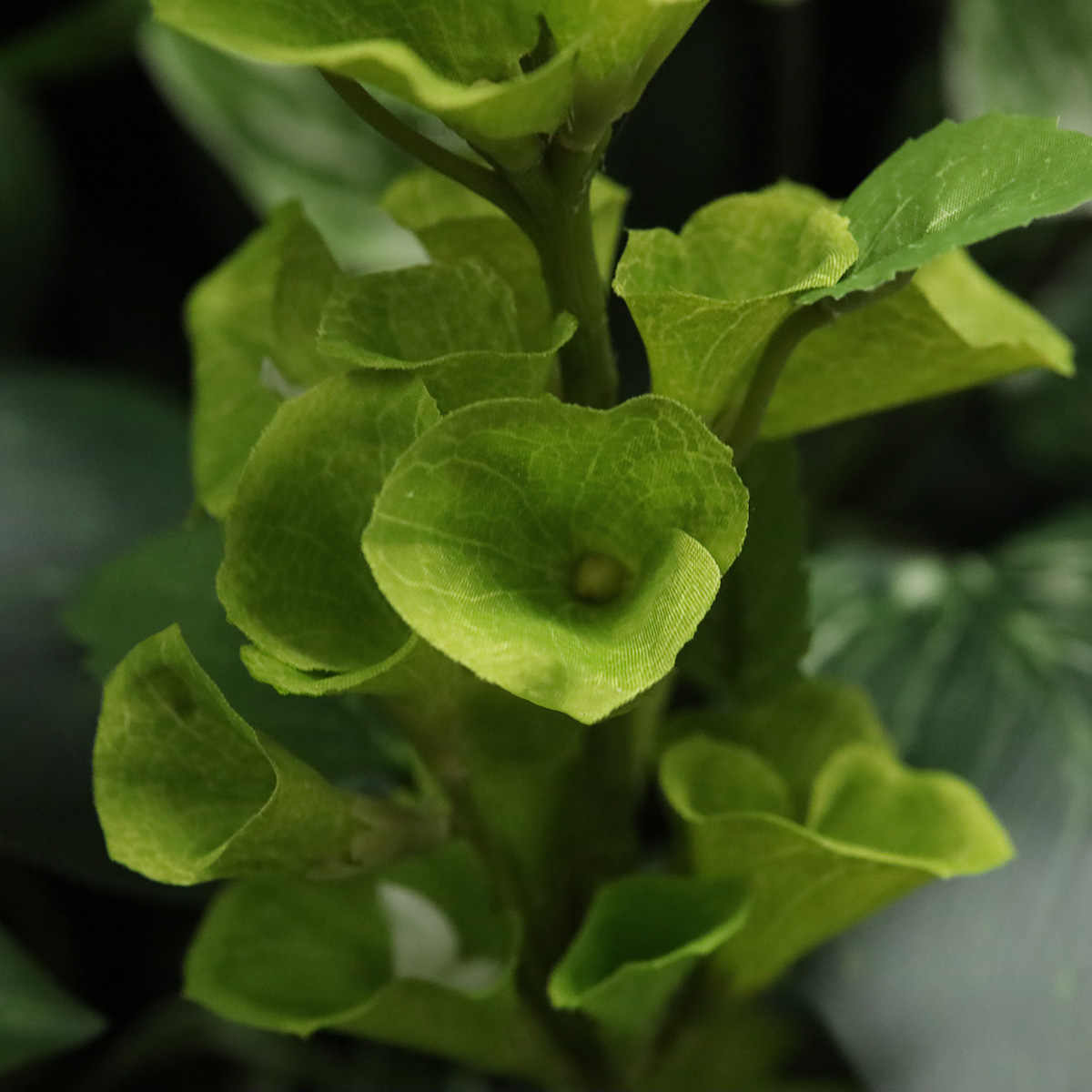 Molucella Kunsttak 83cm groen 1 Molucella Kunsttak 83cm groen