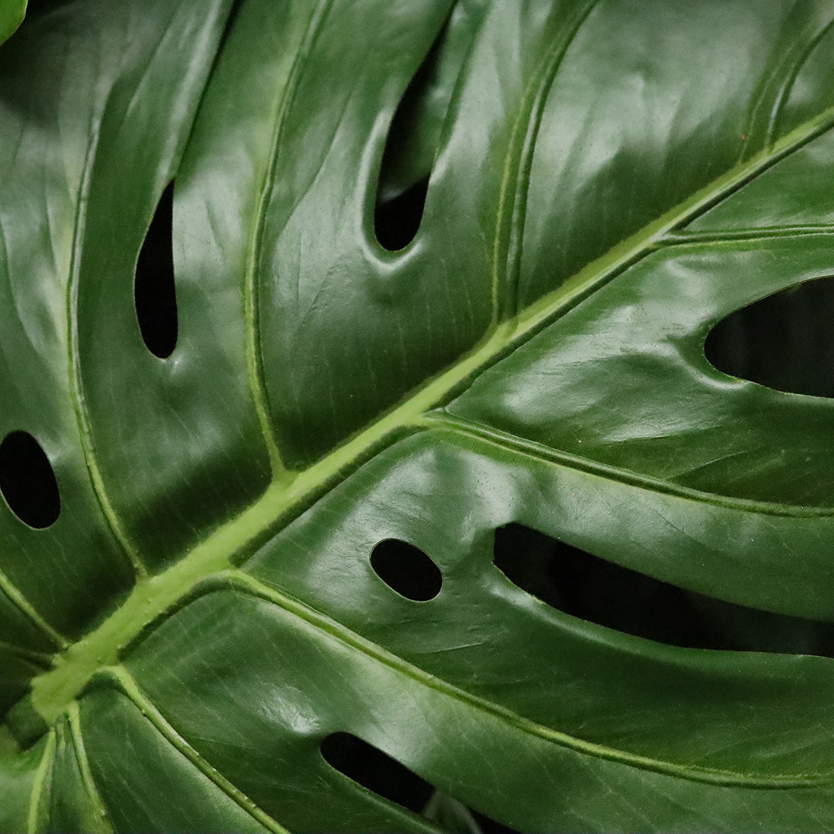 Monstera Kunst Bladtak 60cm groen 1 Monstera Kunst Bladtak 60cm groen