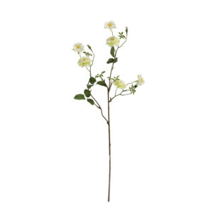 Wilde Rozen Kunsttak 71cm Creme