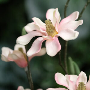 Magnolia Kunsttak 83cm Roze