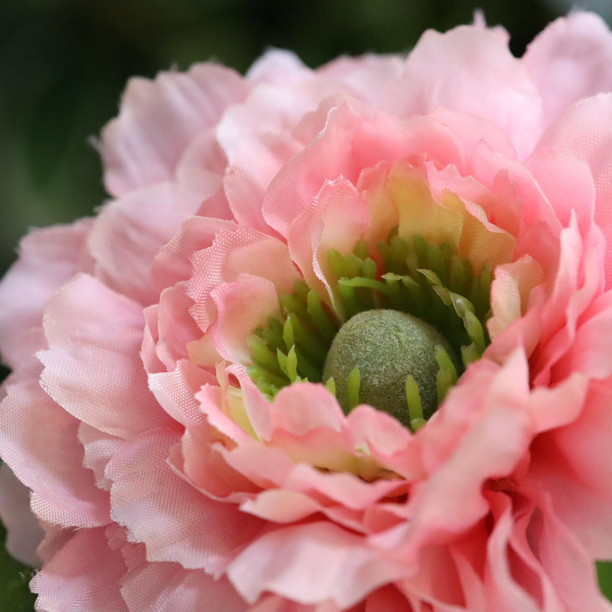 Ranonkel Kunsttak 46cm Roze 1 Ranonkel Kunsttak 46cm Roze